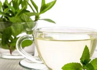 Consumul de ceai de epazot: Care sunt beneficiile acestuia si cum se prepara?