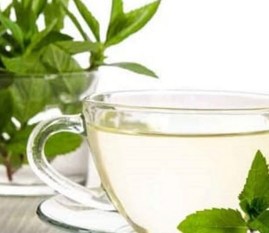 Consumul de ceai de epazot: Care sunt beneficiile acestuia si cum se prepara?