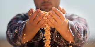 Responsabilitate sociala corporativa