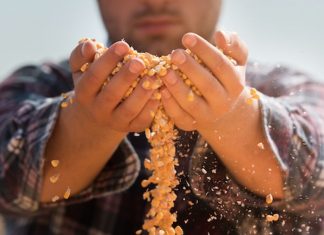 Responsabilitate sociala corporativa