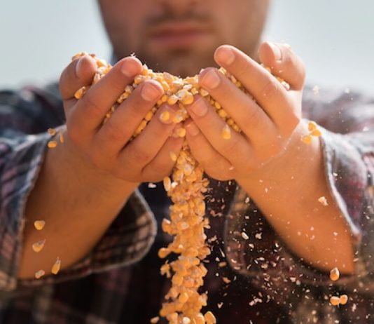 Responsabilitate sociala corporativa