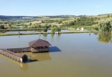 solunarul intre mit si adevar