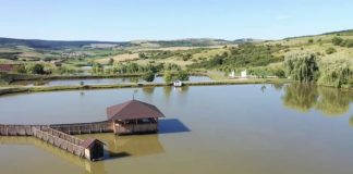 solunarul intre mit si adevar